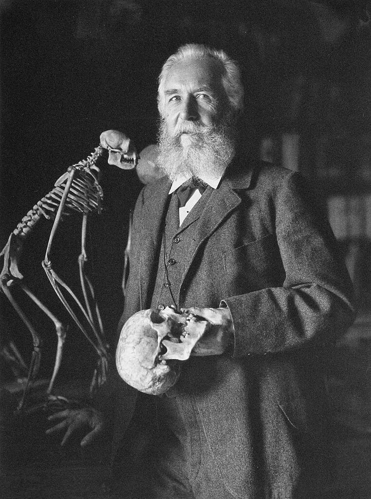 ernst haeckel padre de la ecologia viendo a la cámara en blanco y negro
