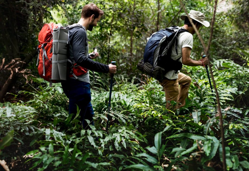 Dos personas caminando en la naturaleza, representando la sustentabilidad 
